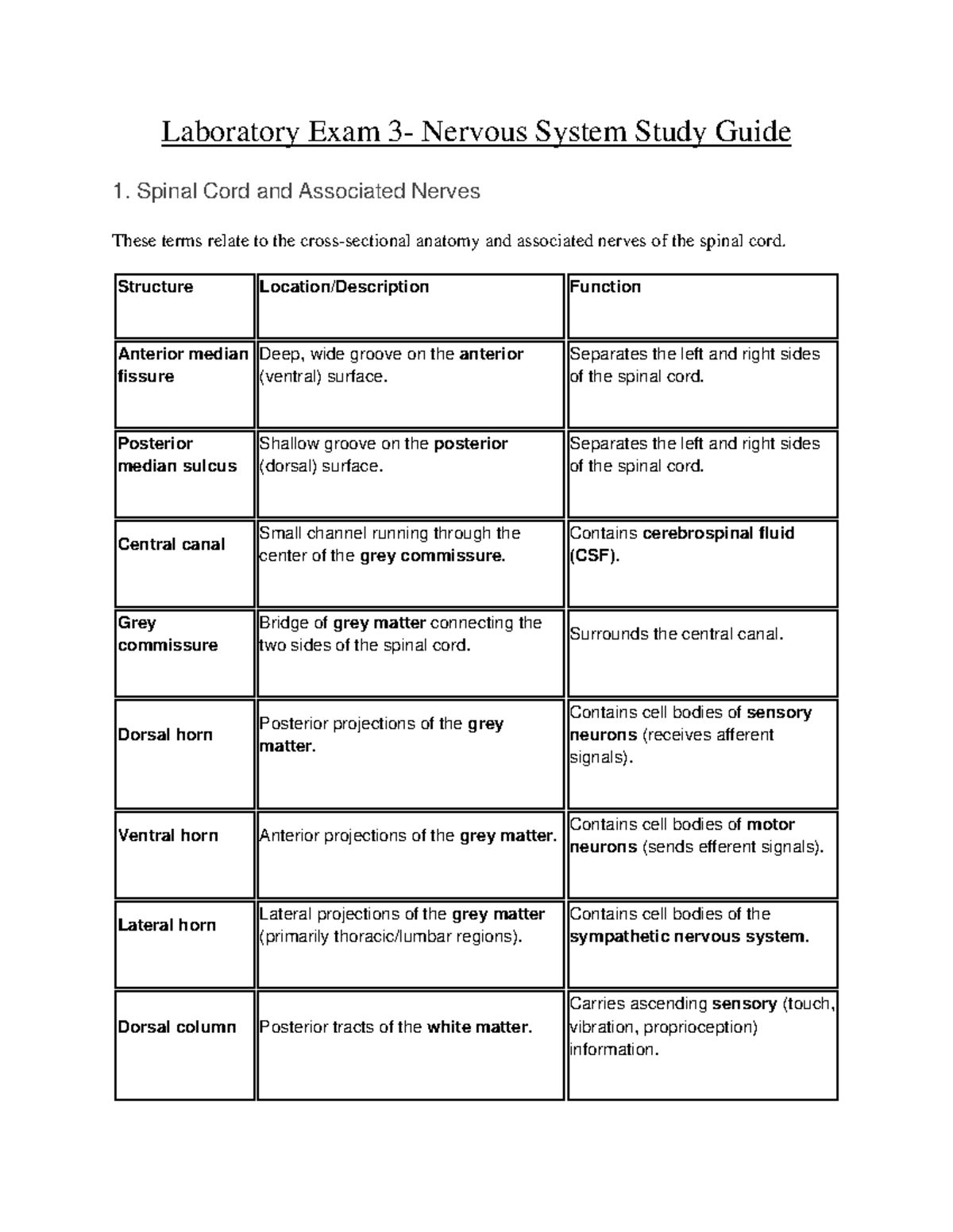 Laboratory Exam 3: Nervous System Study Guide - Studocu