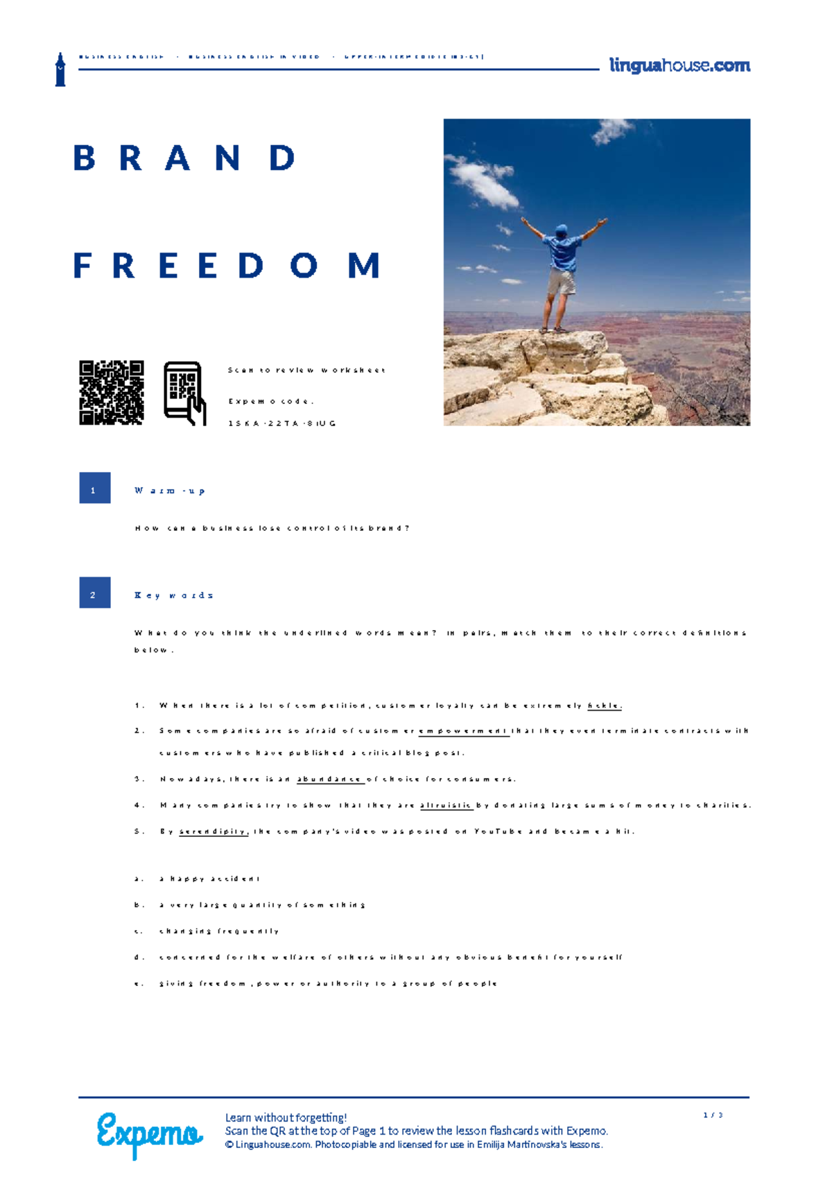 BUSINESS ENGLISH: Brand Freedom Insights and Discussion (Expemo Code: 1 ...