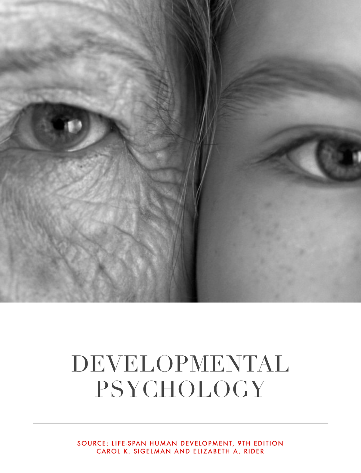 Developmental Psychology Summary: Key Theories and Perspectives ...