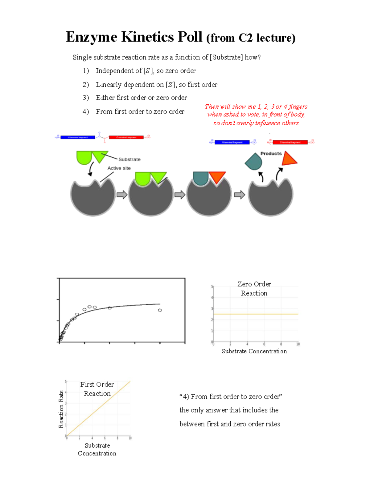 C3 Enzyme Immobilization & Mass Transport Lecture Notes - Studocu