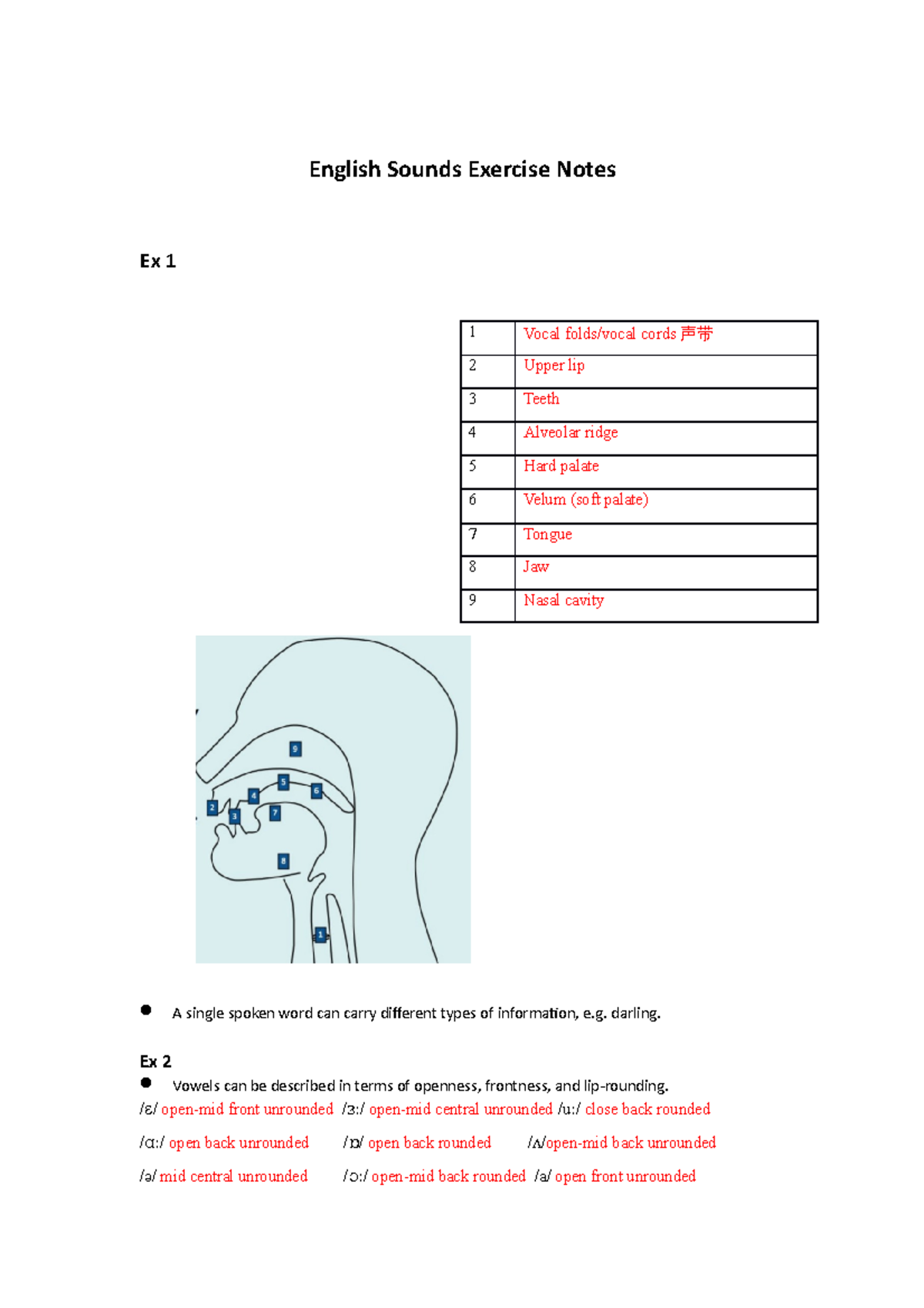 ENG101: English Sounds Exercise Notes and Vowel Descriptions - Studocu