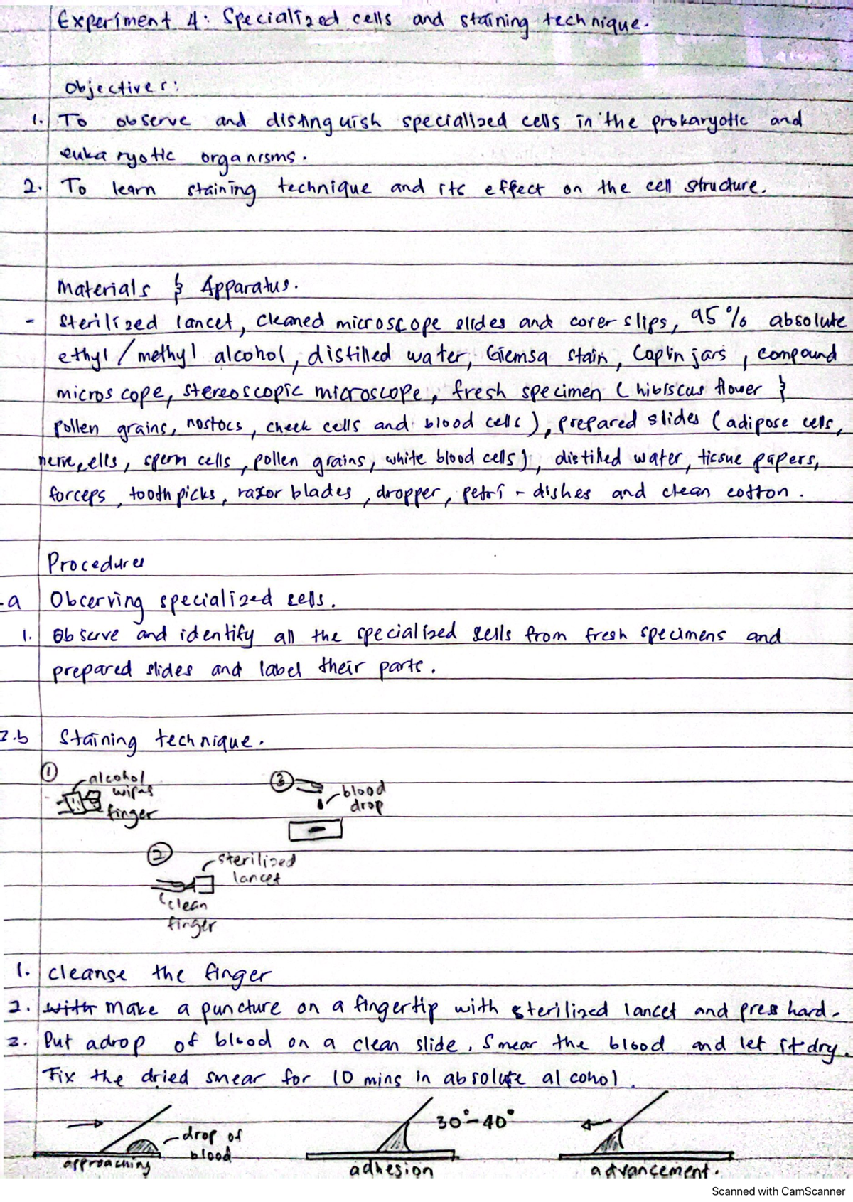 Bio400 Jotter Experiment 4 Summary and Analysis - Studocu