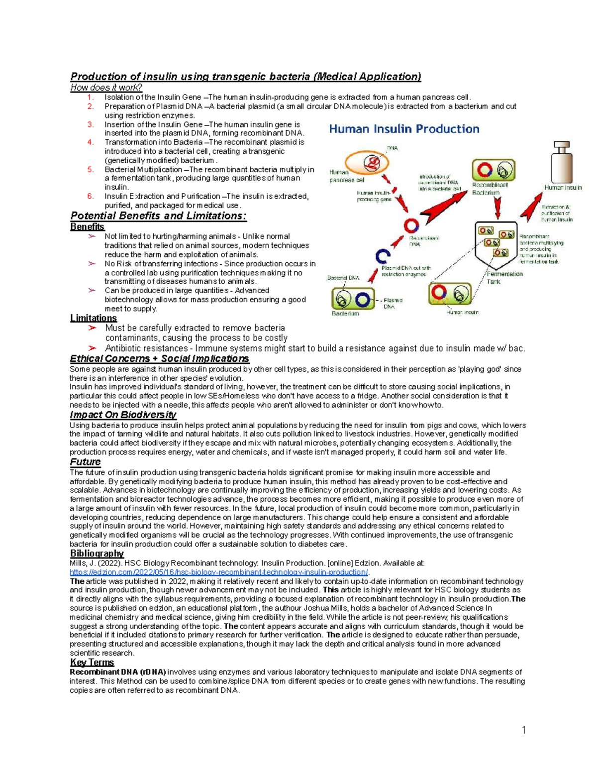 Production of Insulin via Transgenic Bacteria: HSC Biology Insights ...