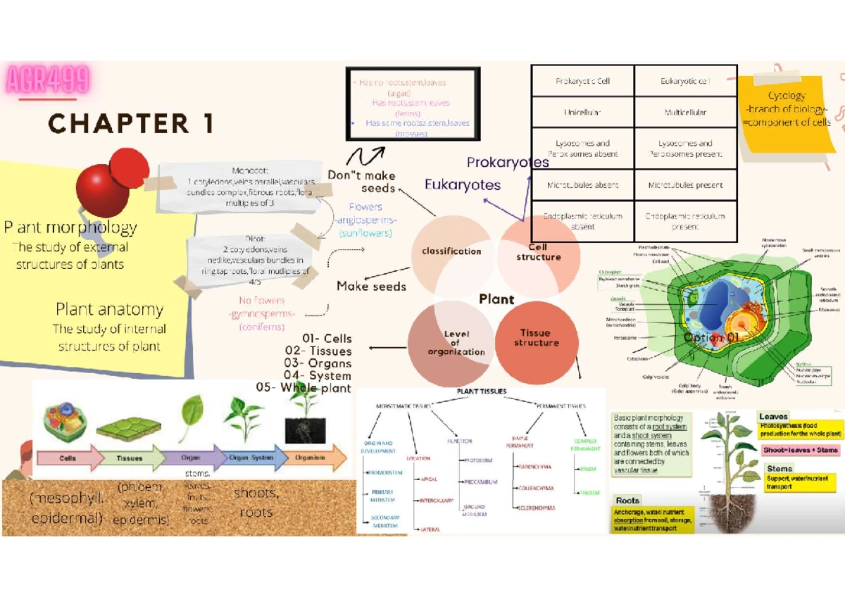 AGR499 LAB 1 - Plant Structure & Physiology Report - Studocu
