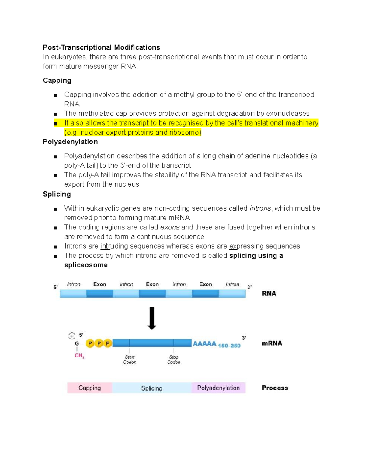 Post-Transcriptional Modifications: Capping, Polyadenylation, Splicing ...