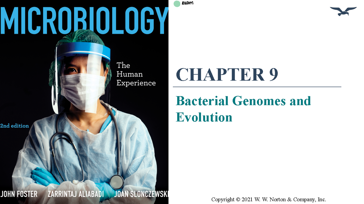 Bacterial Genomes and Evolution (CH 9): Mechanisms of Genetic Transfer ...