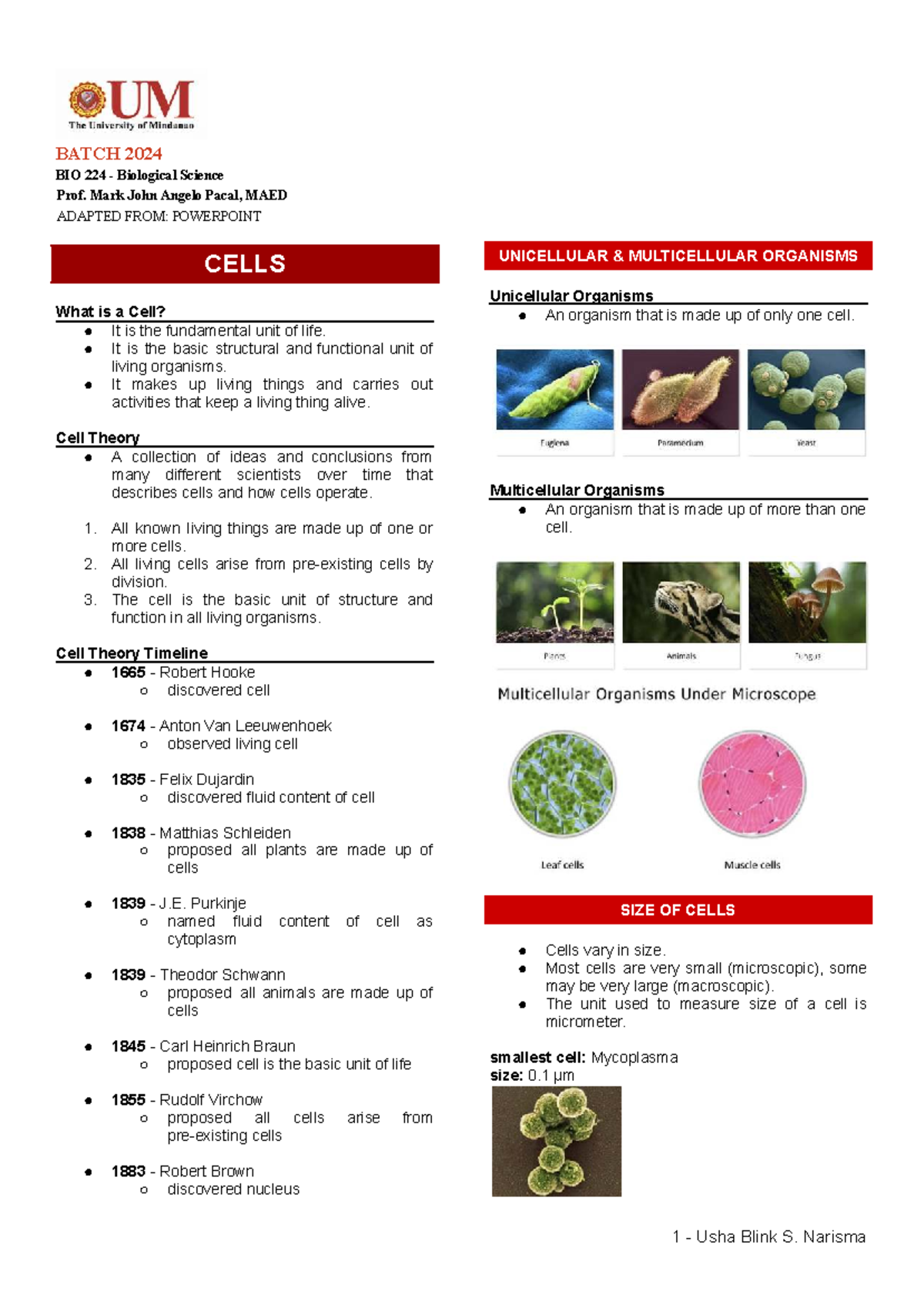 BATCH 2024 BIO 224 Chapter 3: All About Cells and Their Functions - Studocu