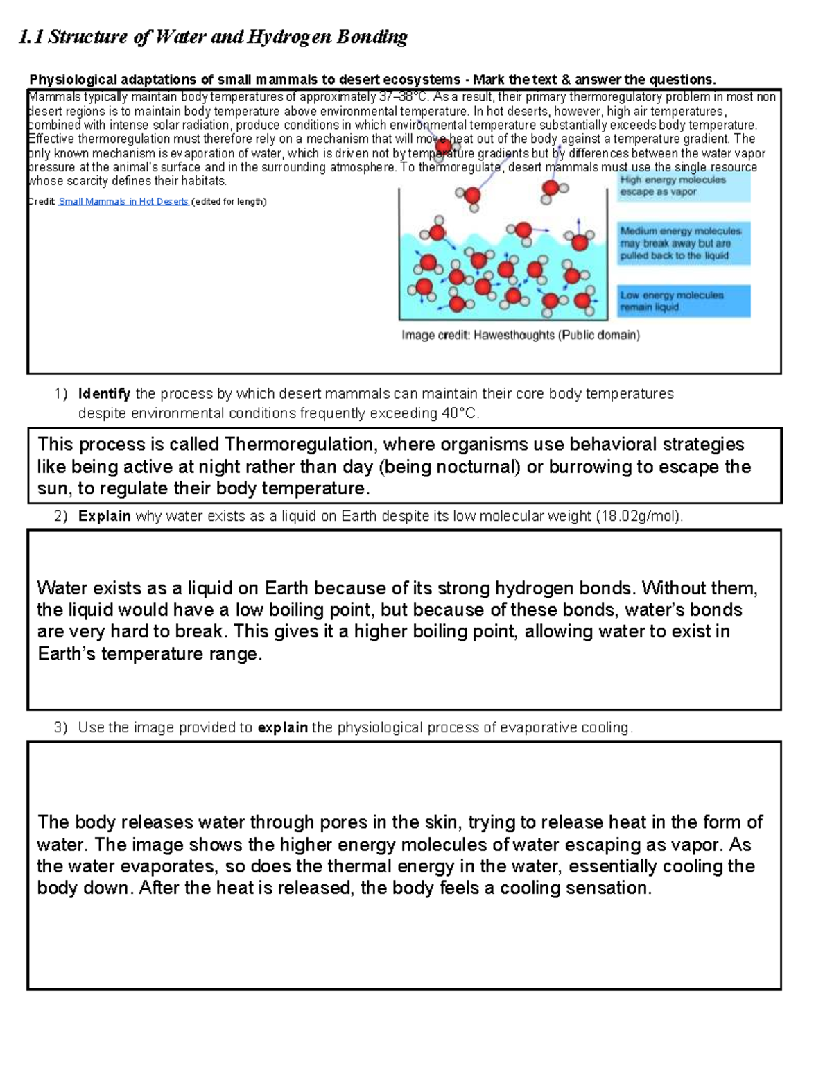 Physiological Adaptations of Small Mammals in Desert Ecosystems (1.1-1. ...