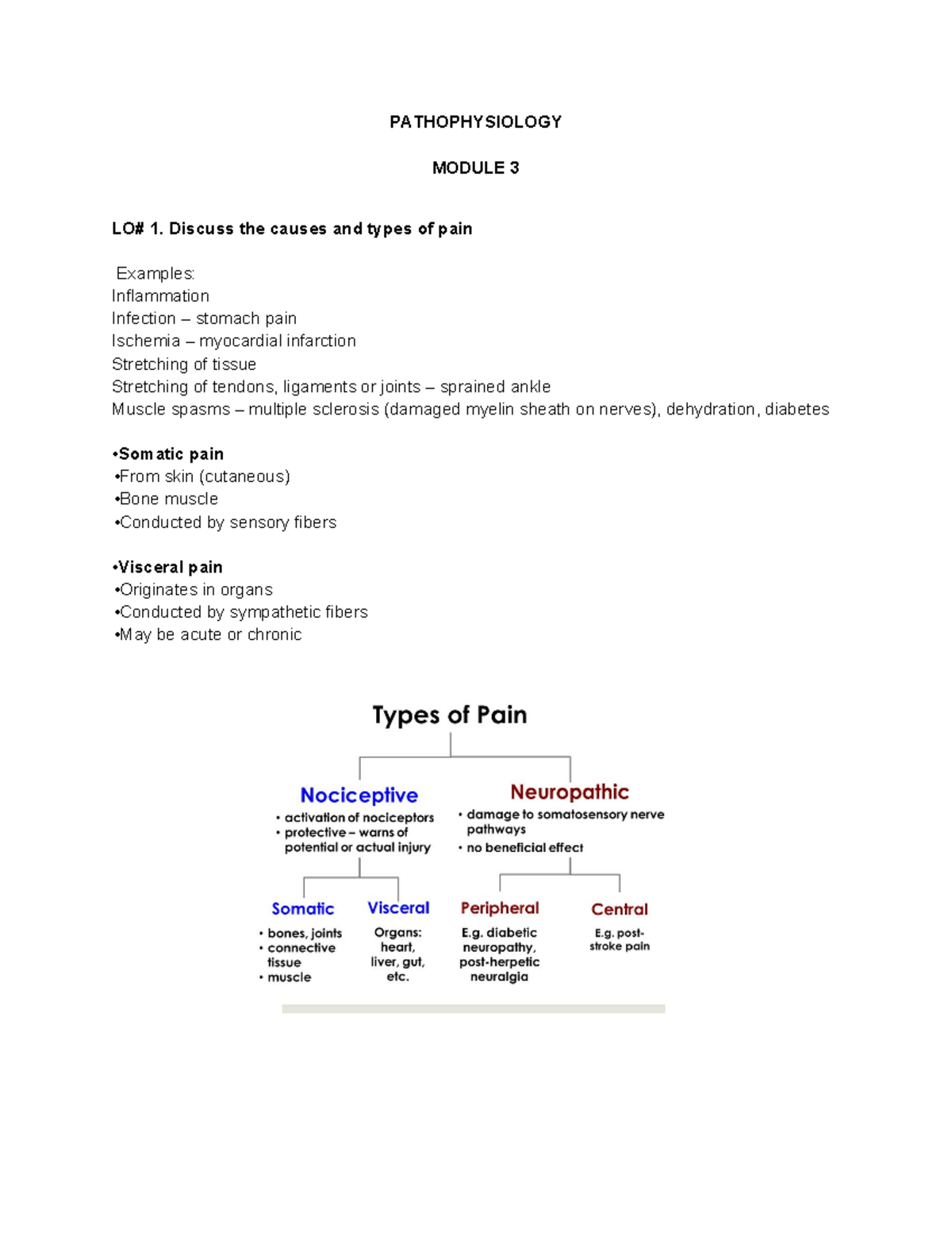Pathophysiology Module 3: Understanding Pain Mechanisms and Cancer ...