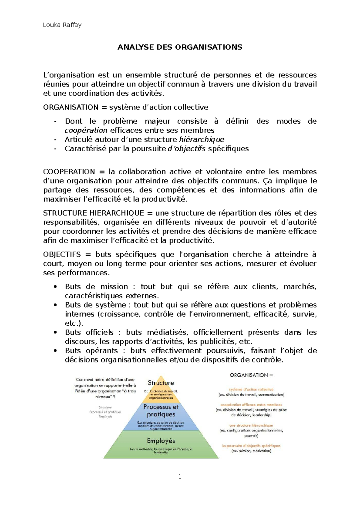 Analyse des Organisations - Louka Raffay (Module 1 & 2) - Studocu