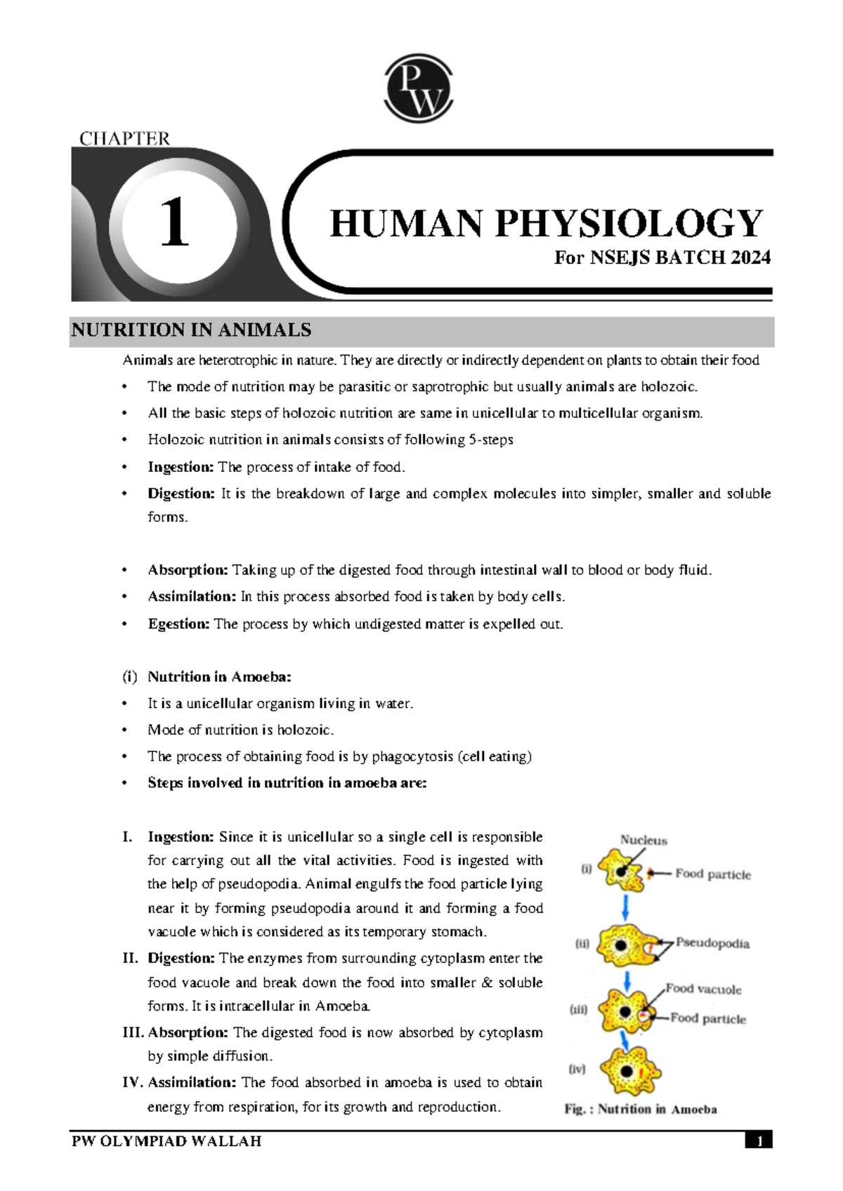 NSEJS 2024 Final Exam Study Notes: Human Physiology and Nutrition - Studocu