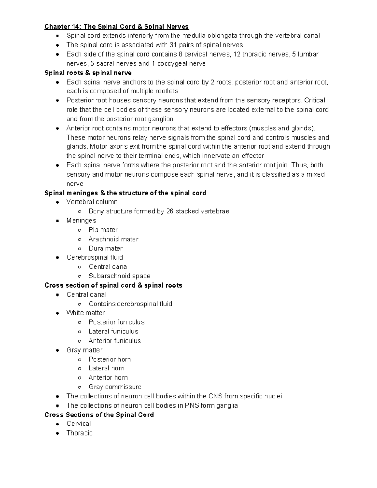 Chapter 14 The Spinal Cord & Spinal Nerves - Chapter 14: The Spinal ...