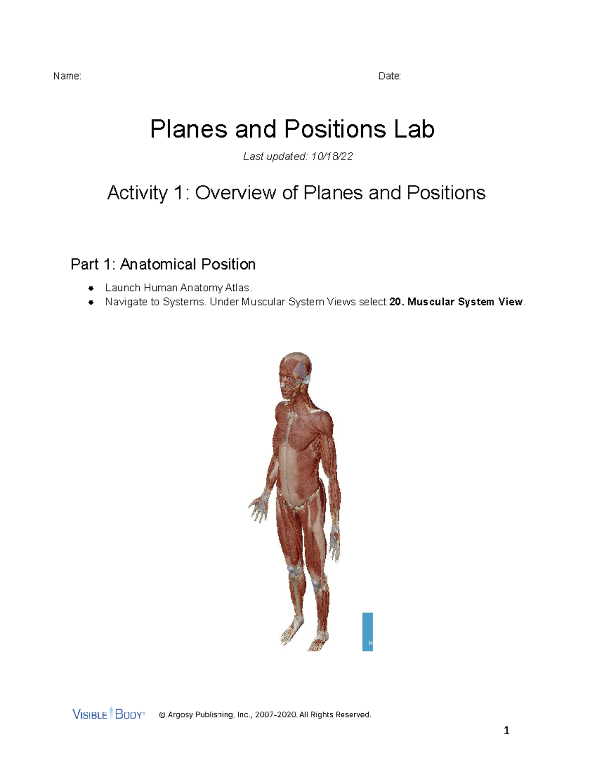 Planes and Positions Lab Manual - Anatomy Studies - Studocu