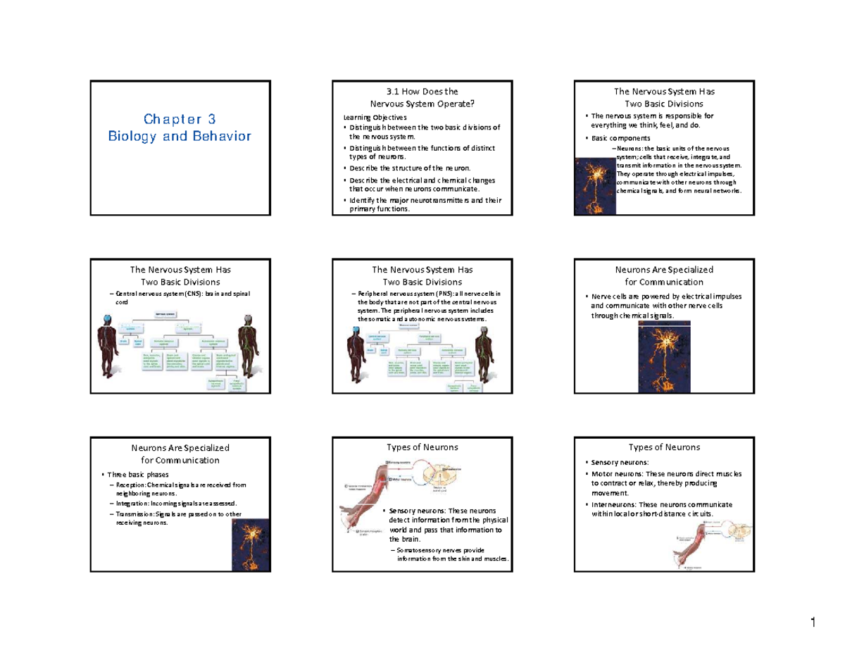 Chapter 3: Biology and Behavior - Nervous System Overview - Studocu