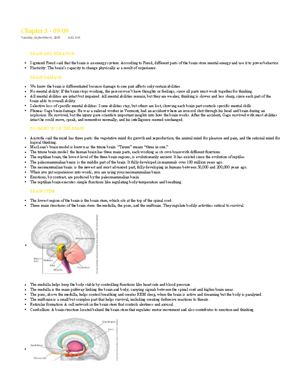 Understanding the Brain: Structures & Functions (PSY 101) - Studocu