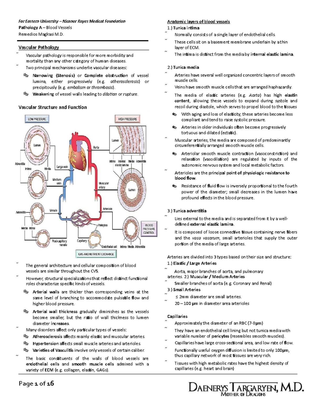 Pathology A - Vascular Pathology Overview and Key Concepts - Studocu
