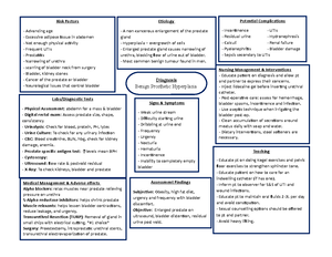 Nursing Care Plan (A male patient with Benign Prostatic Hyperplasia ...