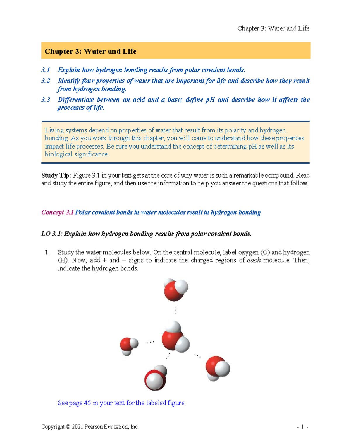Chapter 3: Water and Life - Active Reading Notes - Studocu