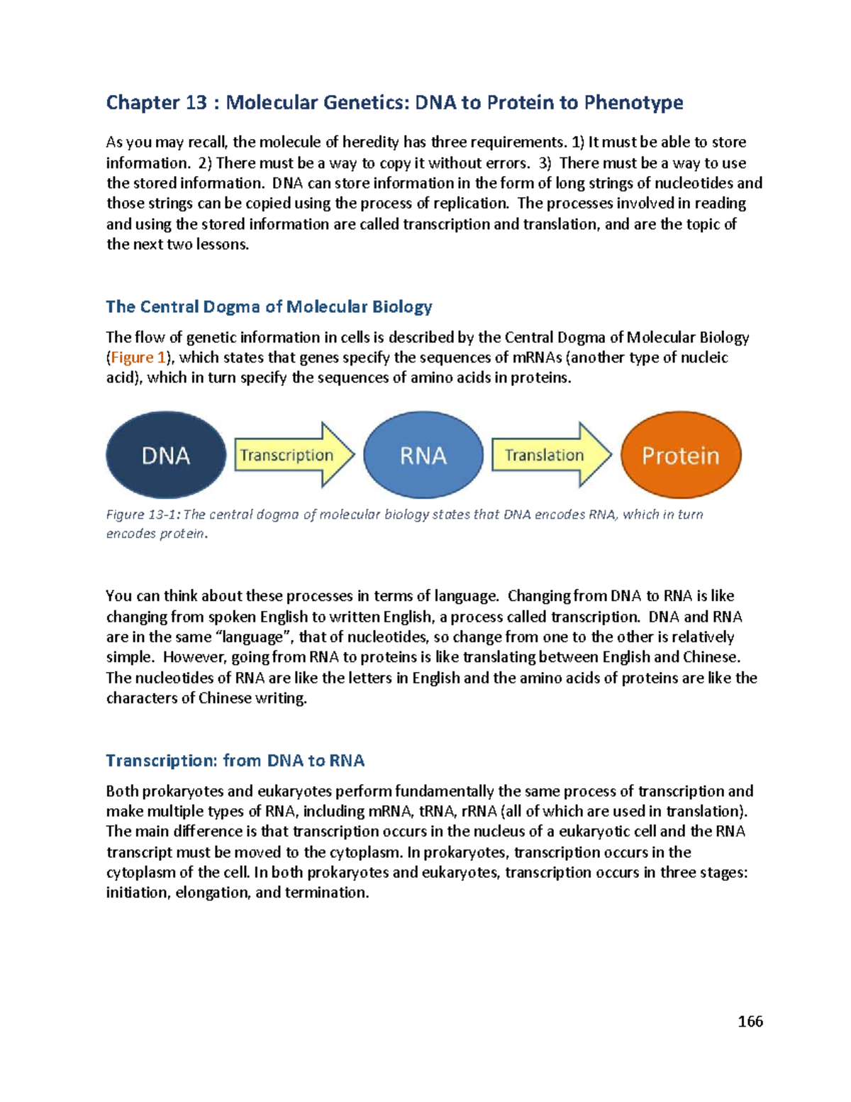 Chapter 13: Molecular Genetics - From DNA to Protein Synthesis ...