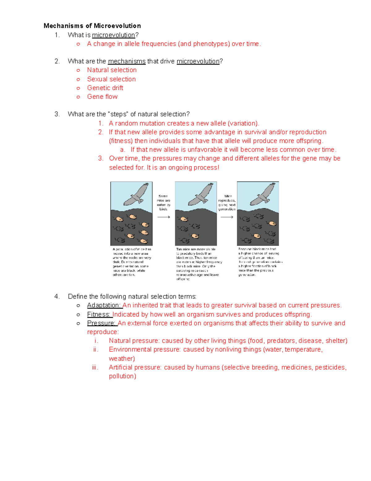 Microevolution and Evolutionary Mechanisms: Study Guide (Biology 101 ...