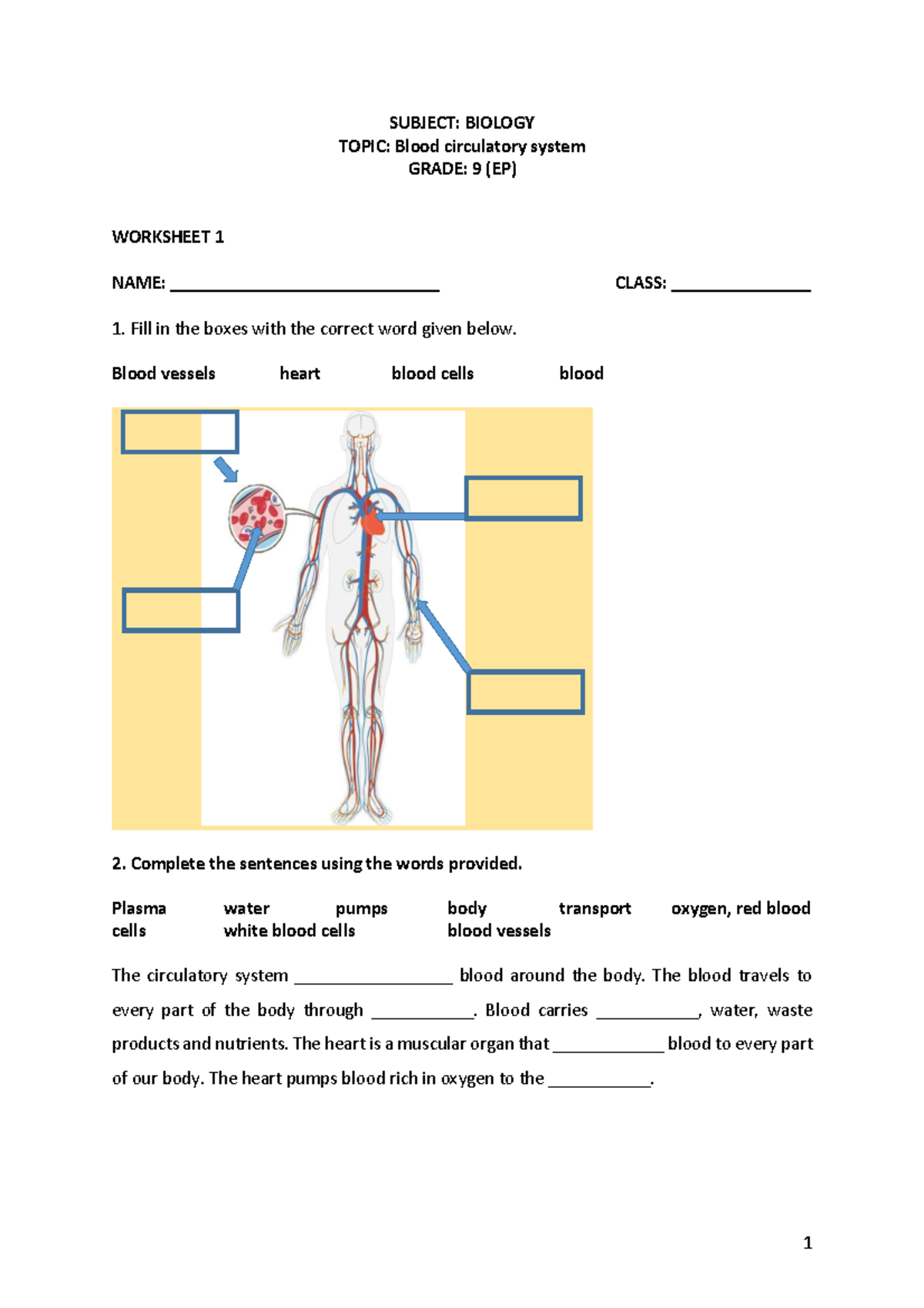 Biology G9 (EP) Worksheet 1: Understanding the Circulatory System - Studocu
