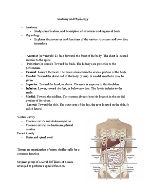 Tissues and Membranes Overview - Anatomy of Human Tissues - Epithelial ...