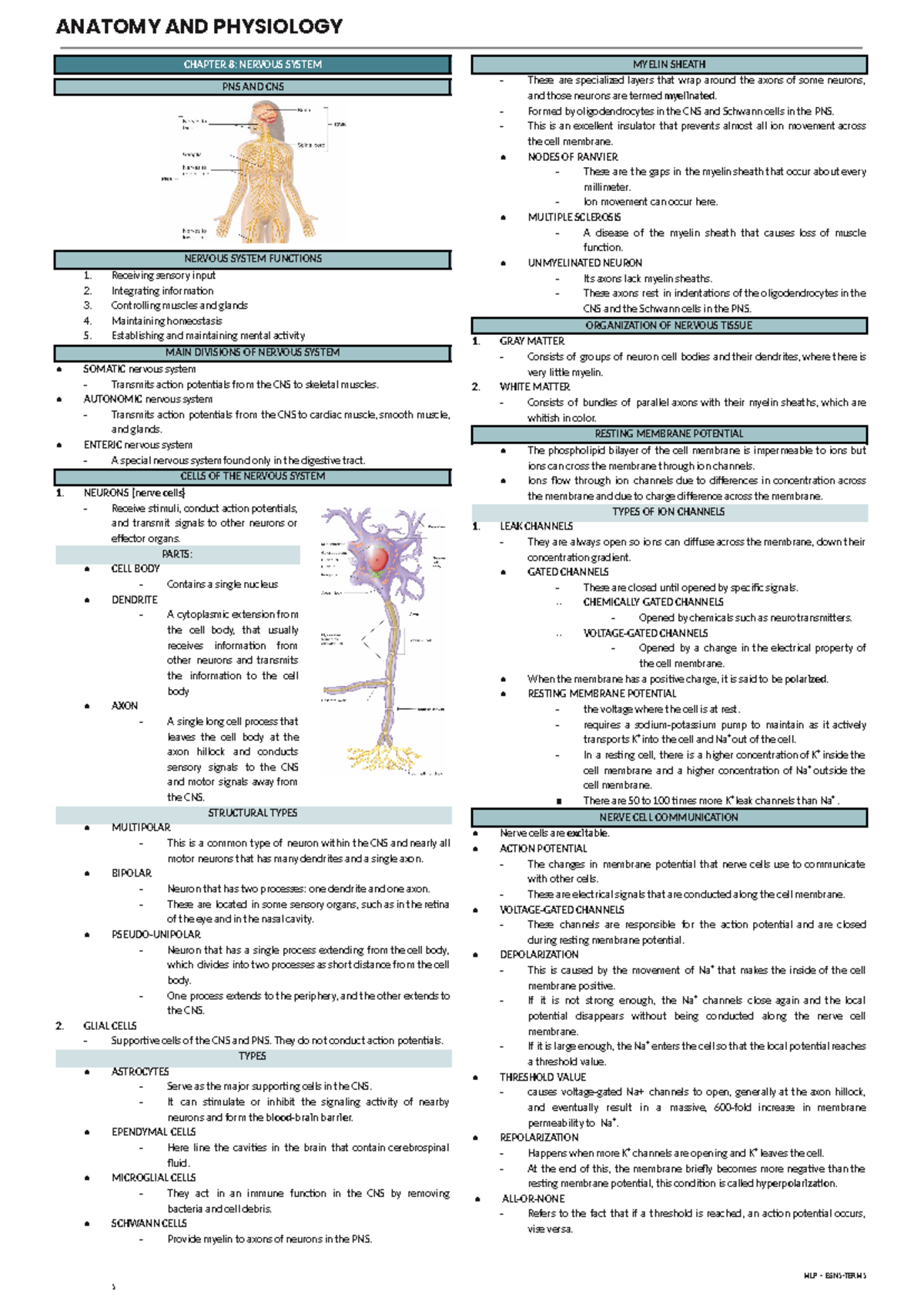 CHAP 8: Nervous System Overview - Anatomy & Physiology MLP - BSN1-TERM ...