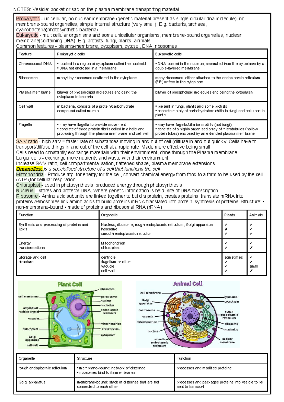 Biology Exam 2 Notes: Prokaryotic & Eukaryotic Cell Structures - Studocu