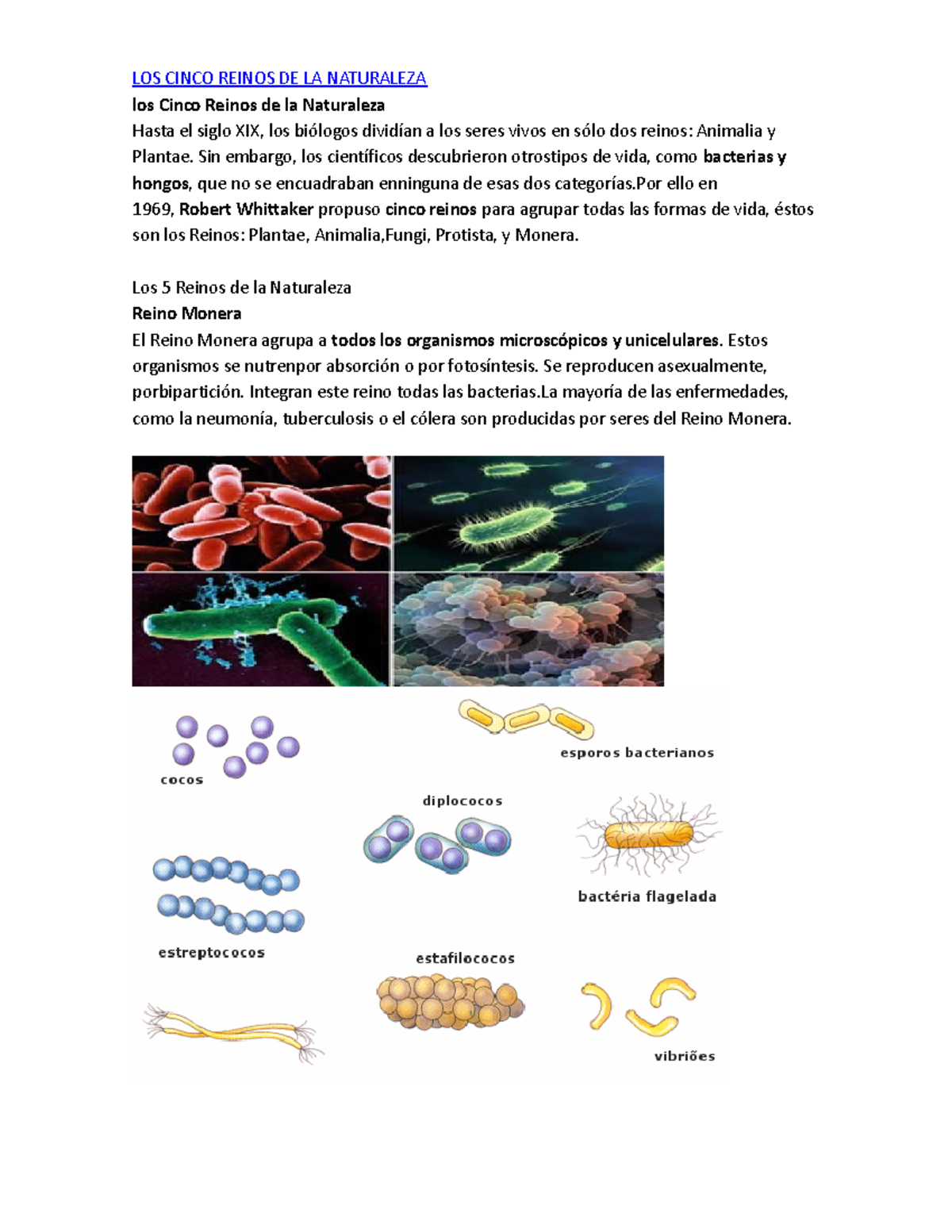 Los Cinco Reinos de la Naturaleza: Clasificación y Características - Studocu