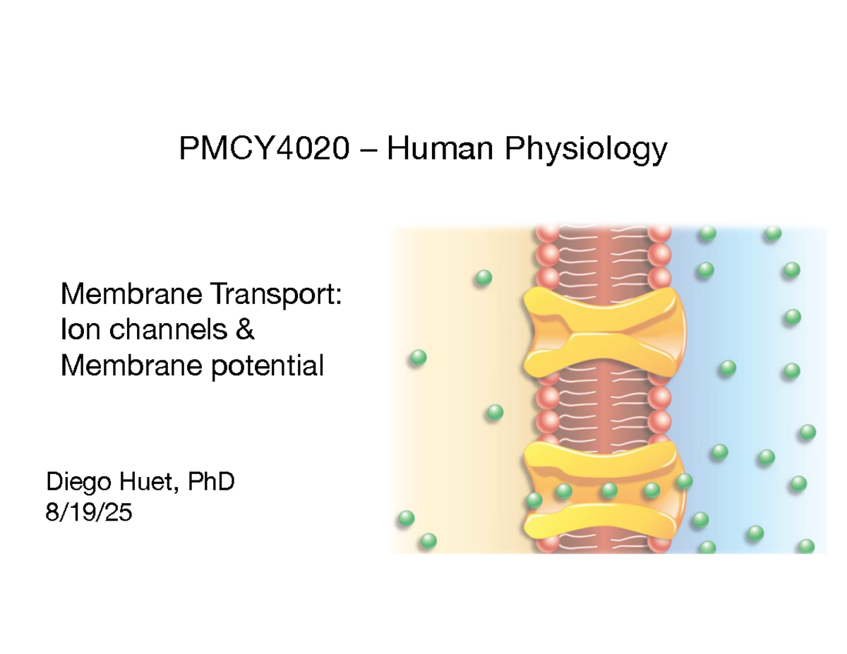 PMCY4020 Membrane Transport: Ion Channels & Membrane Potential Notes ...