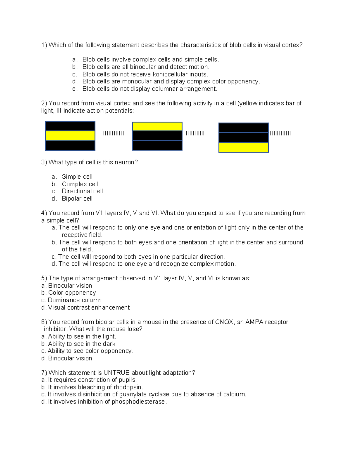 Visual Cortex & Olfactory System Review (Course Code: NEU 101) - Studocu