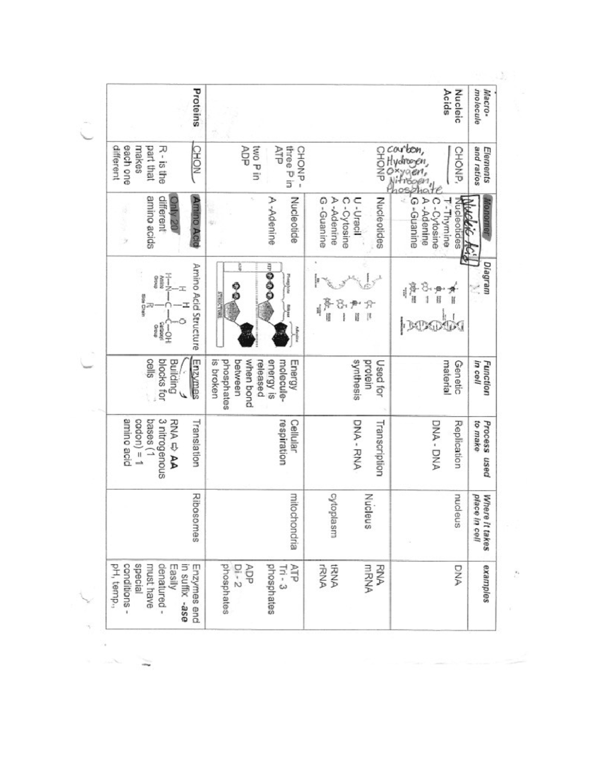 Final Exam Study Guide for Course ABC123: Key Concepts and Strategies ...