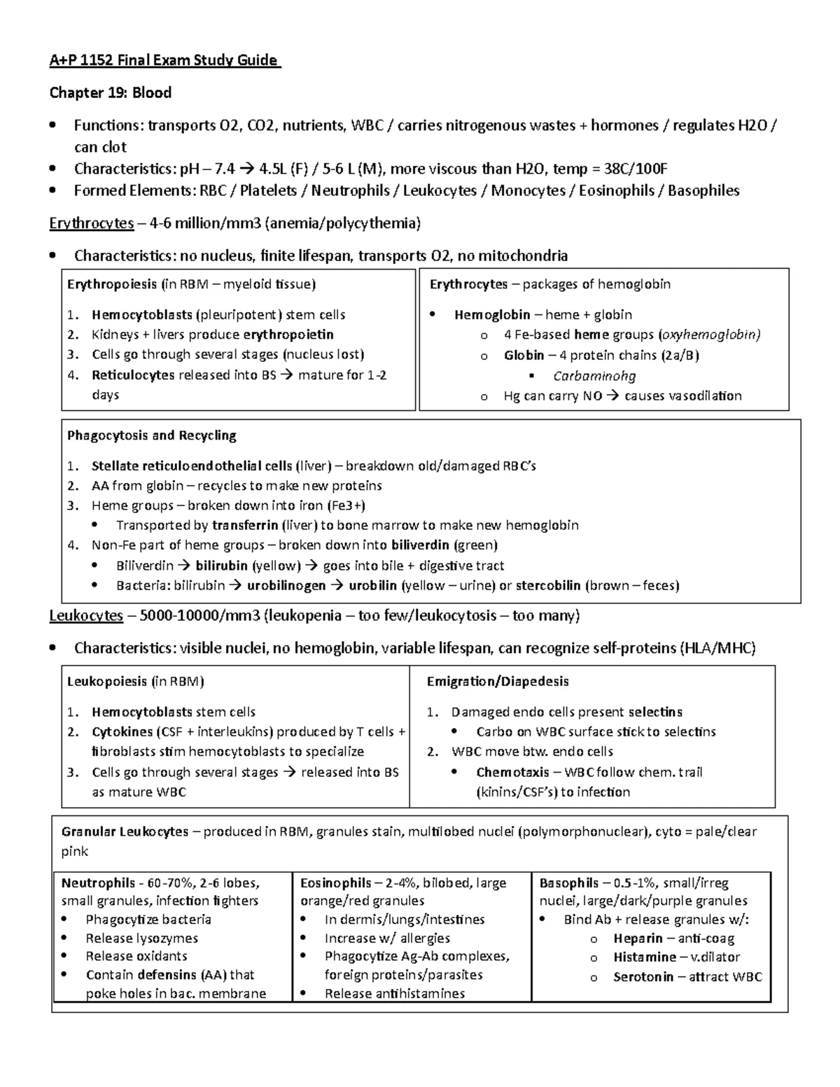Understanding Hematology and Blood Functions: Key Components and ...