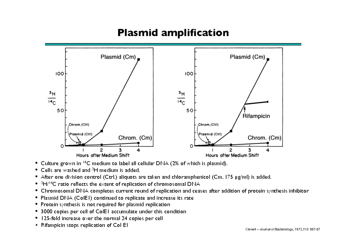 Molecular Biology for Neuroscientists: L3 Lambda Library & Agarose Gel ...