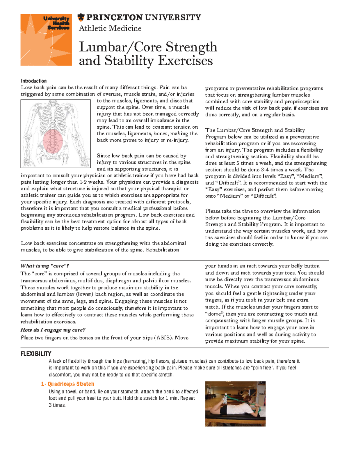 Strength and Stability Exercises for Low Back Pain Management - Studocu