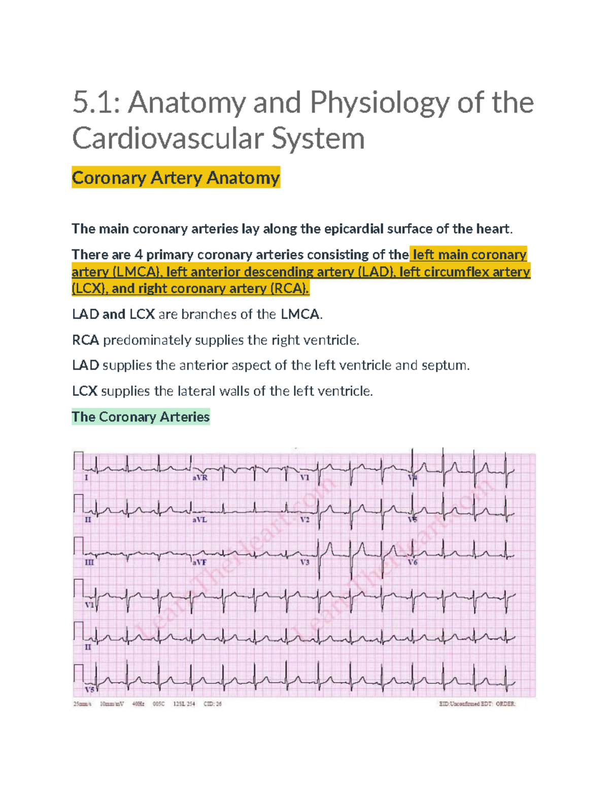 5.1: Anatomy & Physiology of the Cardiovascular System - Week 5 Reading ...