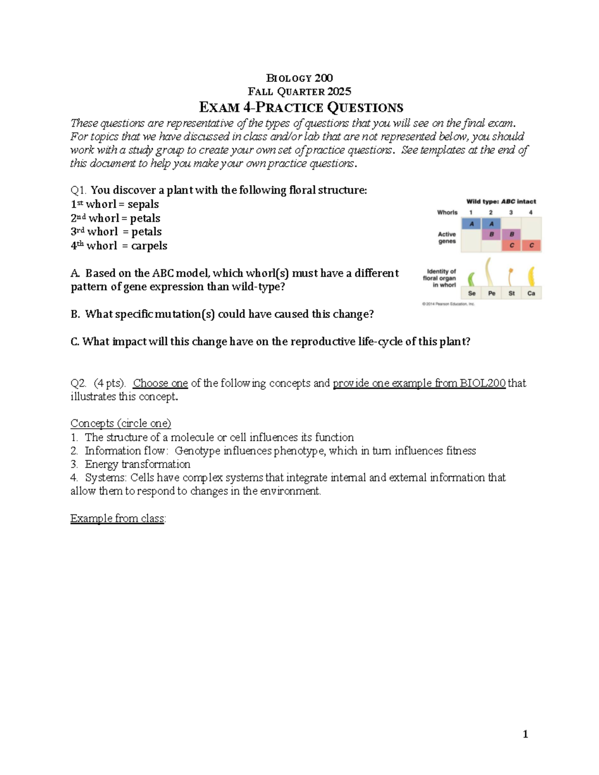 BIOLOGY 200 FALL 2025 FINAL EXAM PRACTICE QUESTIONS - Studocu