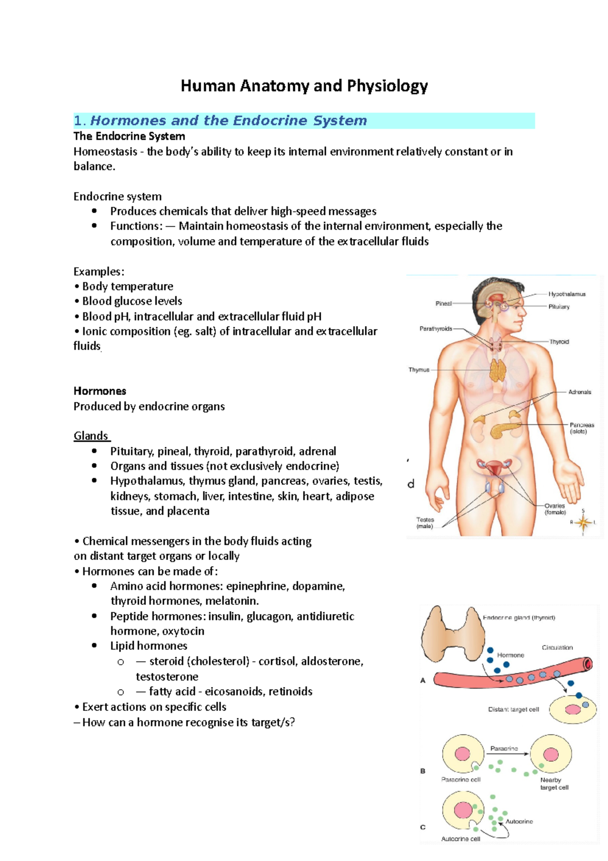 HAP Lecture Notes on Human Anatomy and Physiology - Studocu