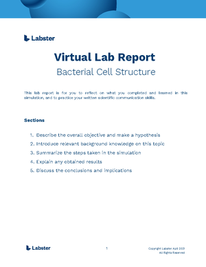 [Solved] Give me conclusions The stringent response is a conserved ...