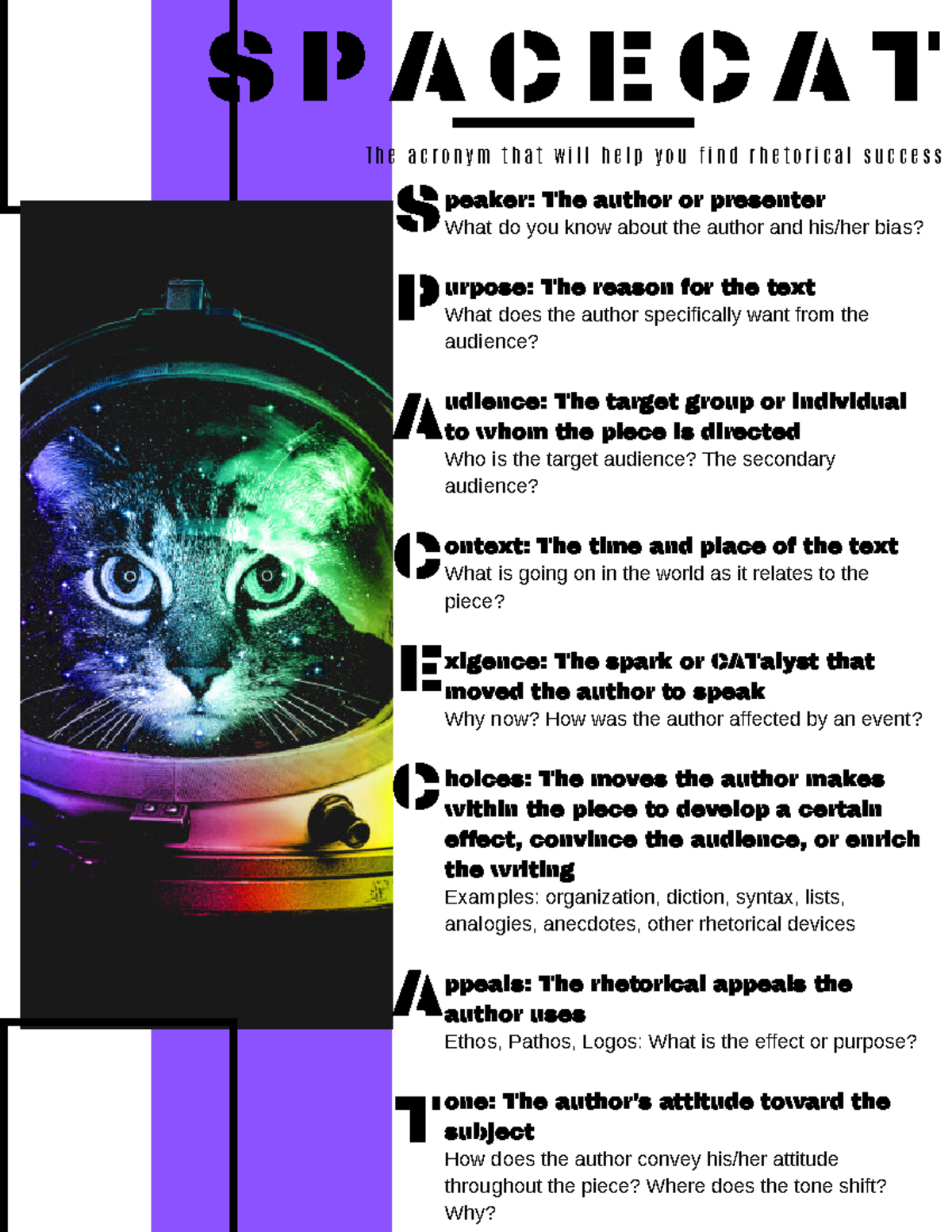Spacecat explained - S P A C E C A T T h e a c r o n y m t h a t w i l ...
