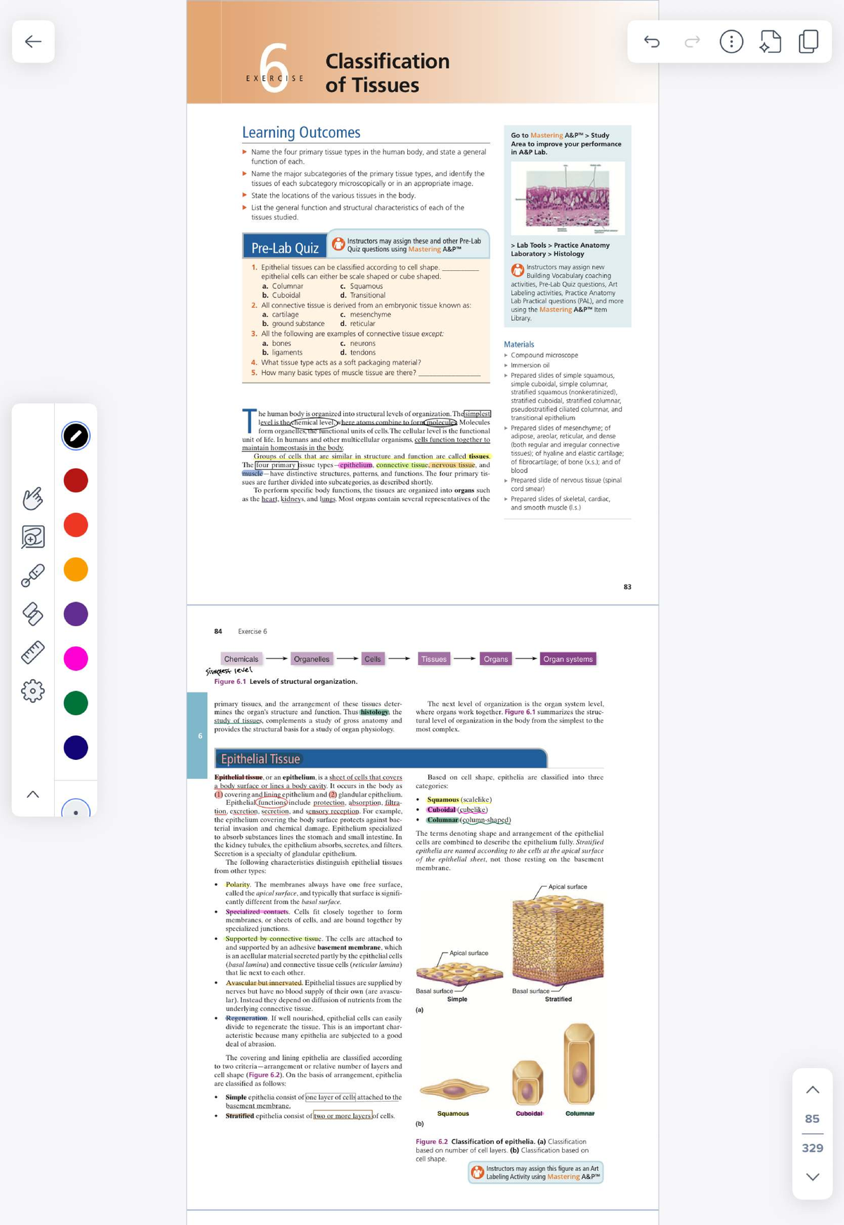 Classification of Tissues - Lecture Notes - Studocu