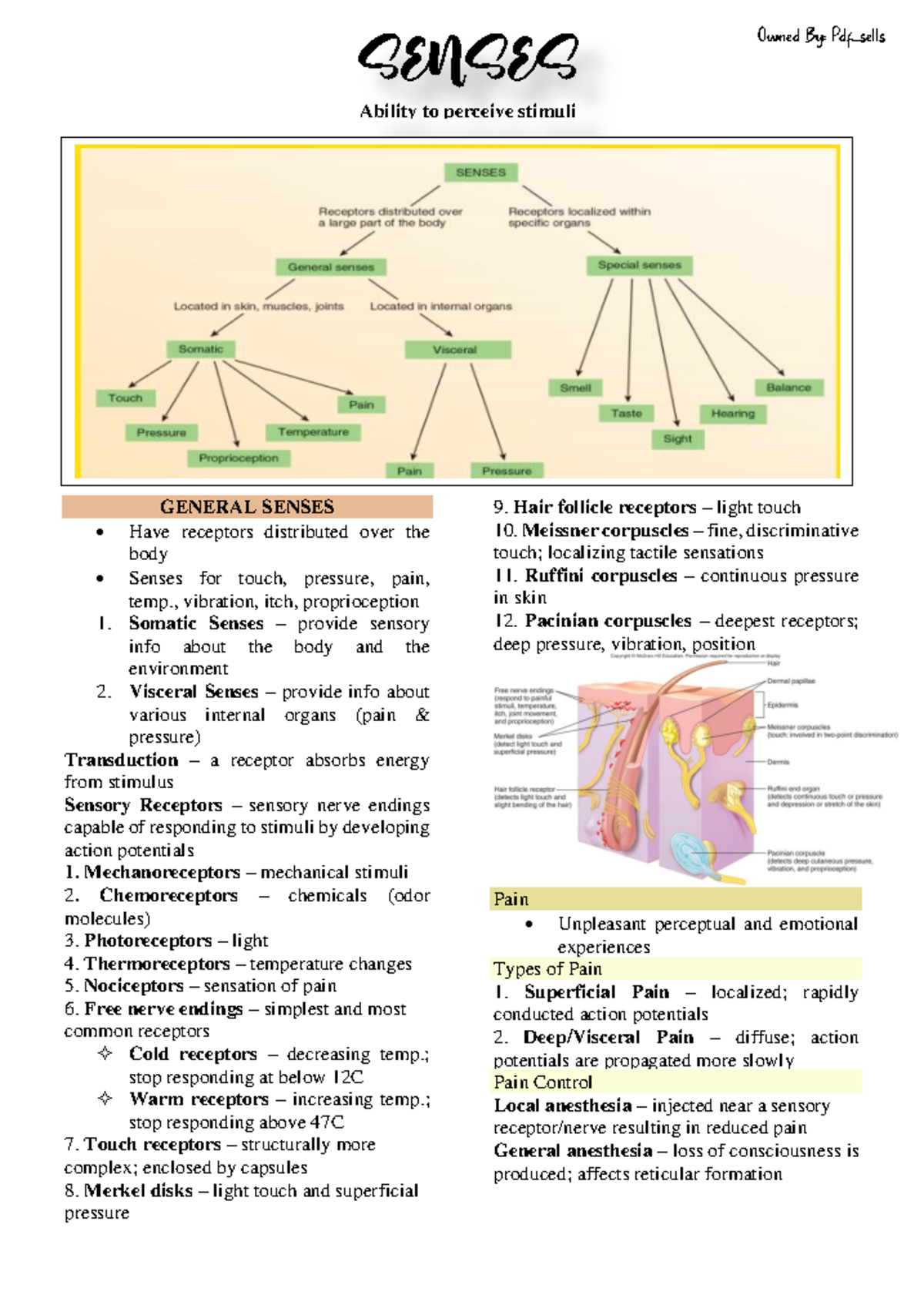SENSORY SYSTEMS: Comprehensive Notes on General & Special Senses - Studocu