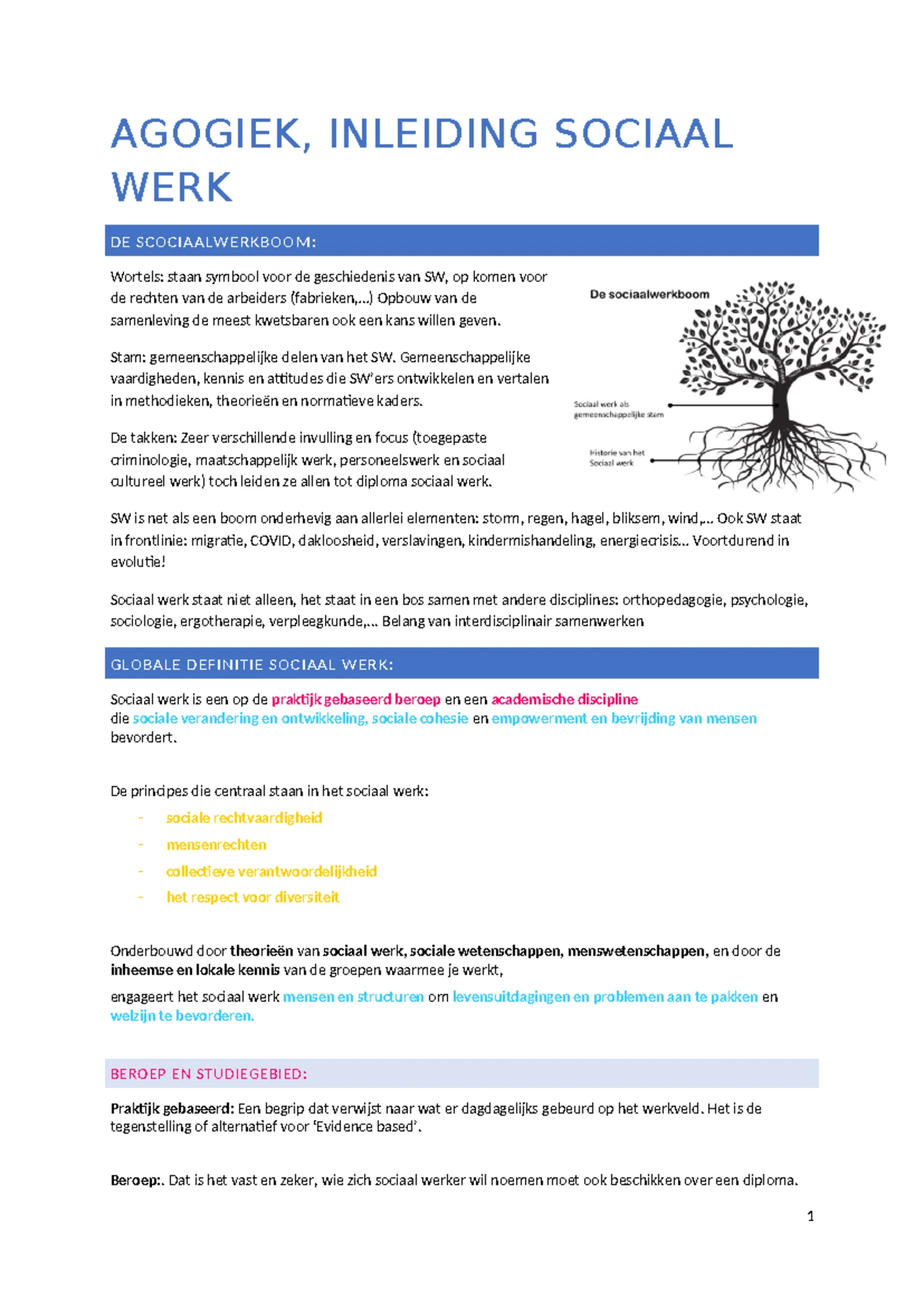 Voorbeeld Examenvragen Sociaal Werk ISW (PP) en Duurzame ...
