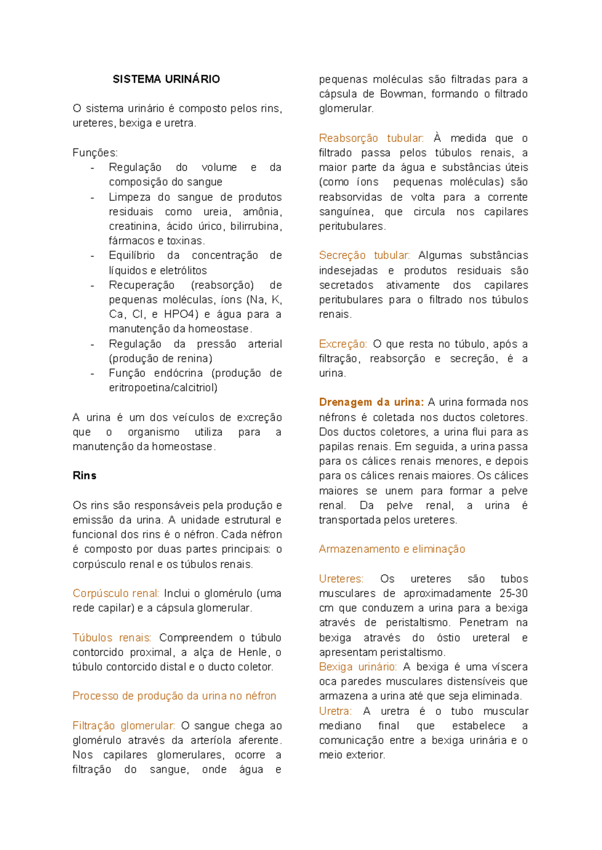 P3 Anatomia Sistema Urin rio e - Thumb 1200 1694 