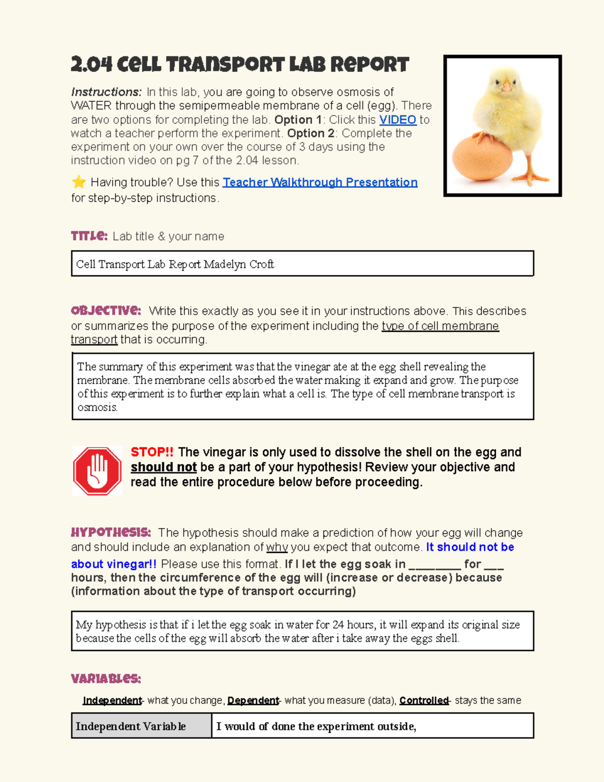 Copy of Copy of 2 04 Lab Report Template-v23 - 2 Cell Transport Lab ...