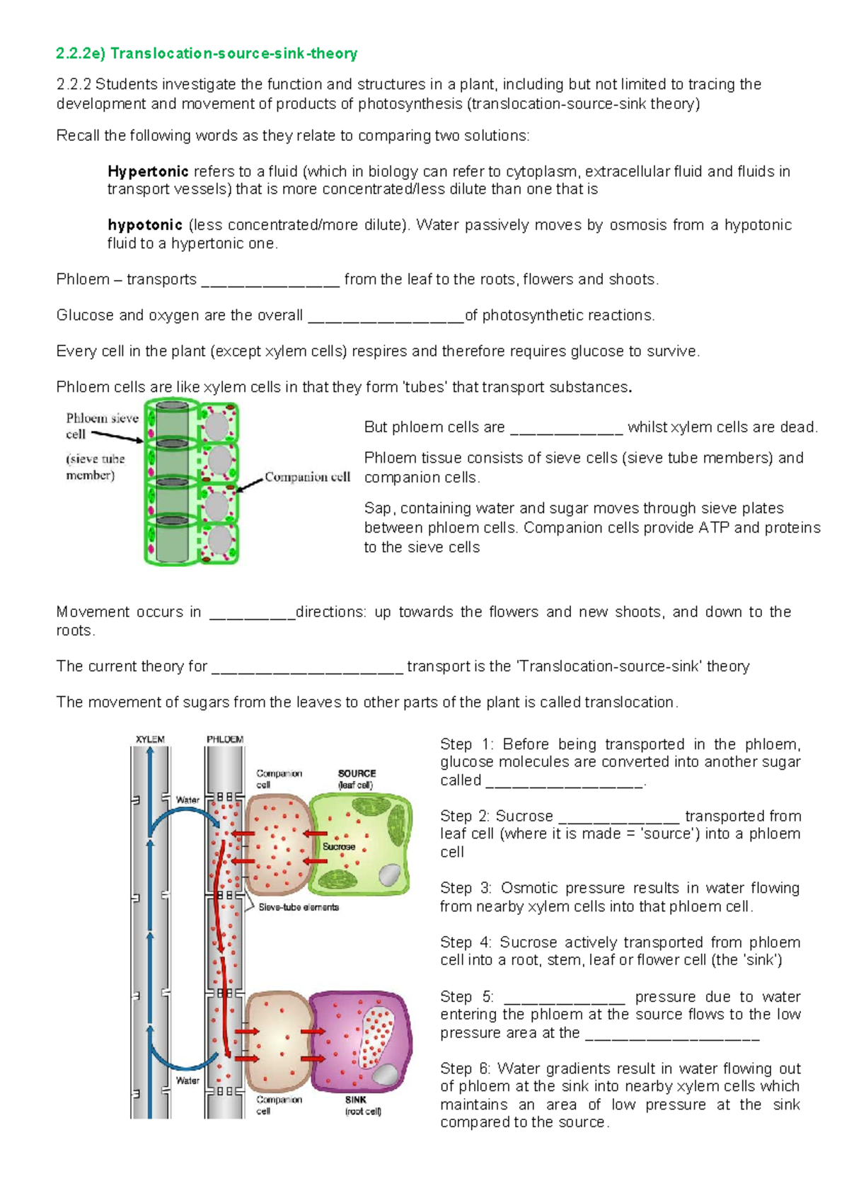 2.2.2e) Understanding Translocation in Plant Structures and Functions ...