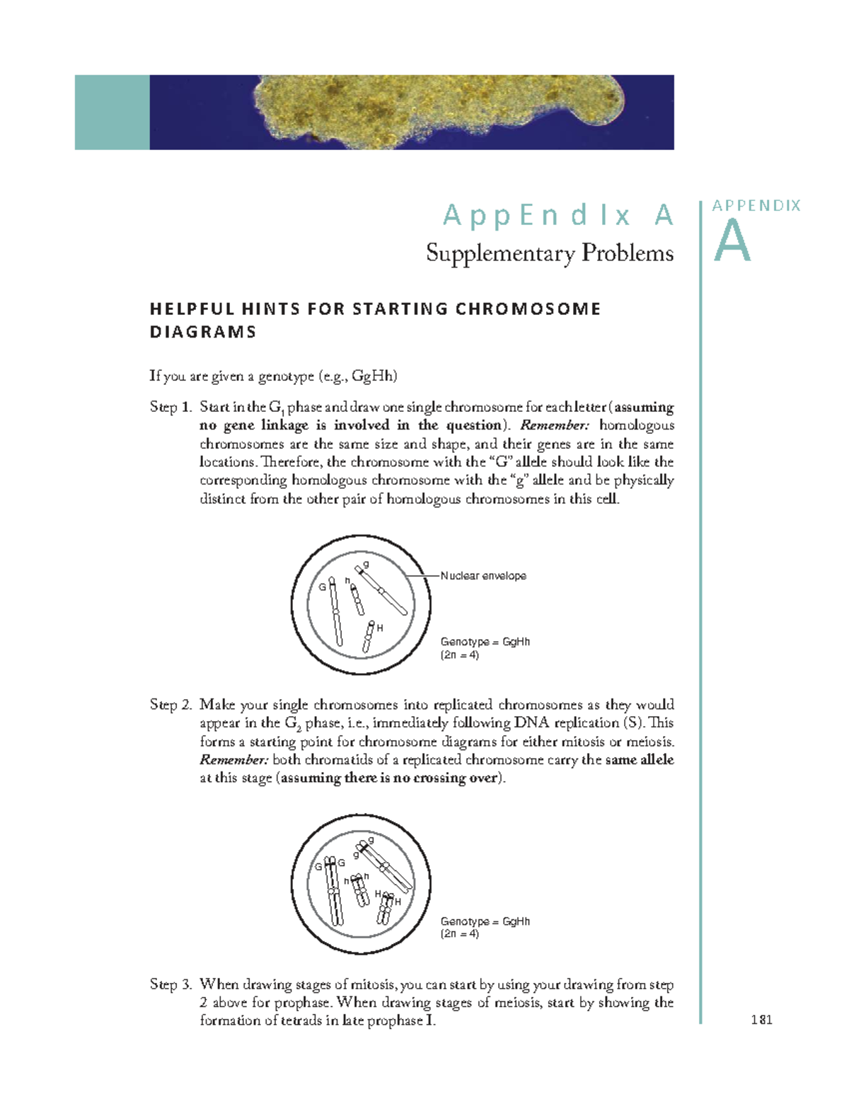 Appendix A: Supplementary Genetics Problems Answer Key - Studocu