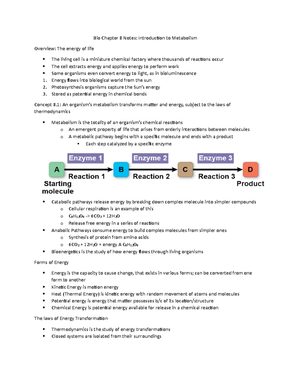 Bio 101 Ch. 8 Notes: Introduction to Metabolism and Energy Flow - Studocu