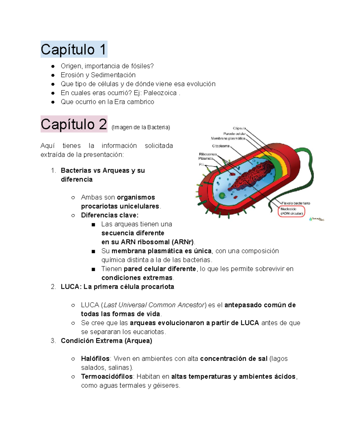Biol 101: Final Exam Notes on Microorganisms and Fungi - Studocu