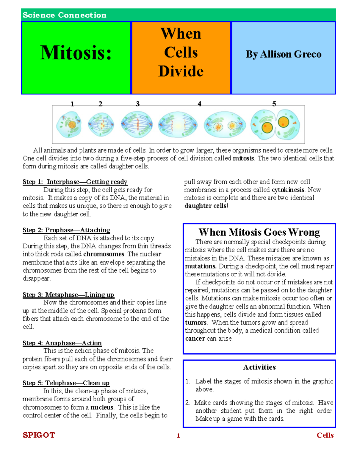 Understanding Mitosis: A Step-by-Step Guide (Science 101) - SPIGOT 1 ...